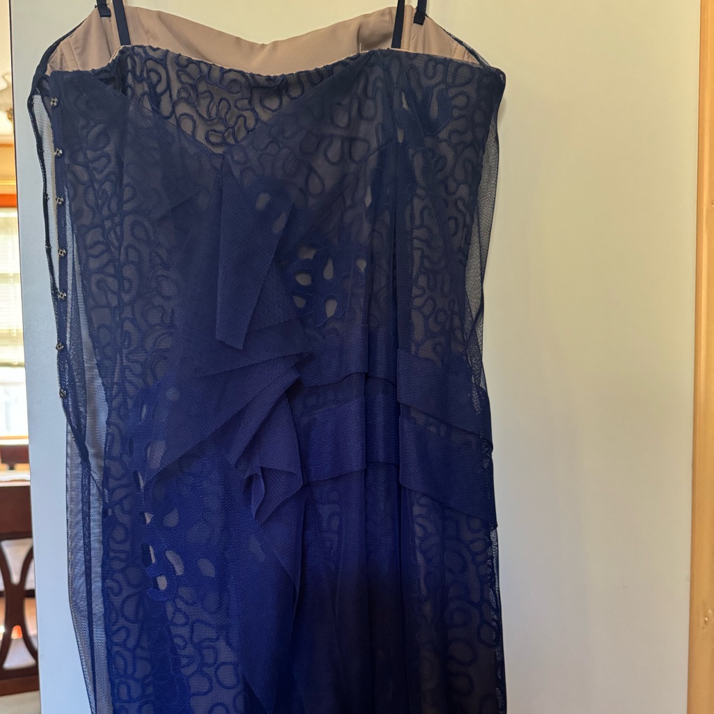 Bcbg Runway Sleeveless Cocktail Dress With Chiffon Embroidery. Worn Once.